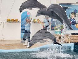 Варна - Делфинариум - Ден на детето