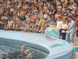 Варна - Делфинариум - Ден на детето