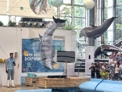 Варна - Делфинариум - Ден на детето