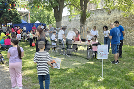 Видин - Summer Vibes - фестивал