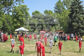 Видин - Summer Vibes - фестивал