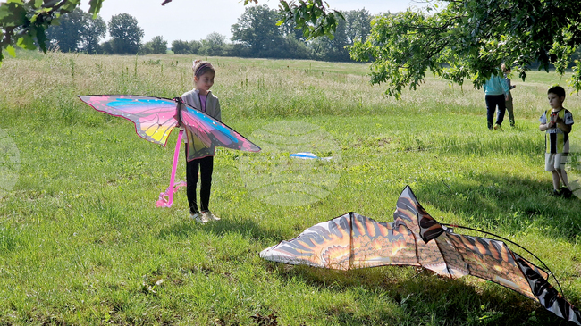 How Children’s Lives May Change in Shadow of Climate Change – Expert's Insights