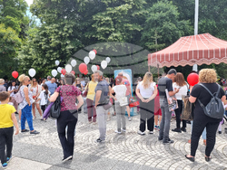 Пловдив - деца загинали на пътя - мирно бдение