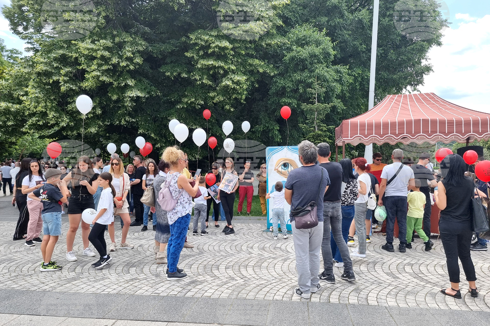 Пловдив - деца загинали на пътя - мирно бдение