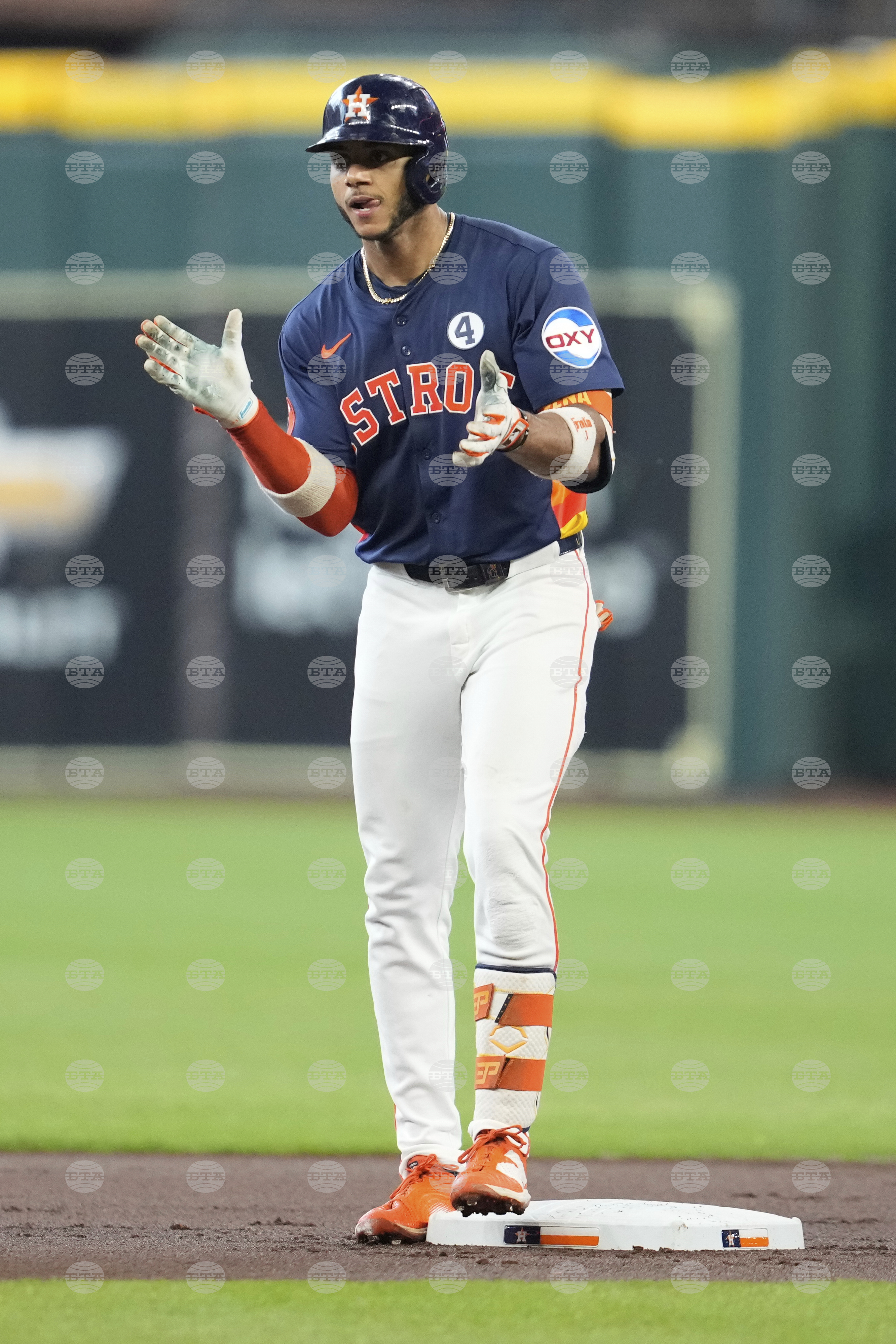Rays Astros Baseball