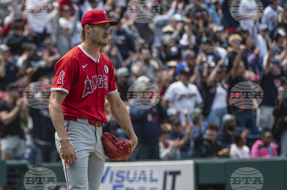 Angels Guardians Baseball