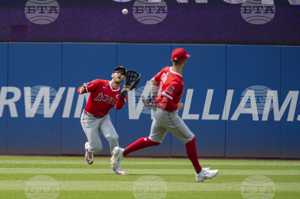Angels Guardians Baseball