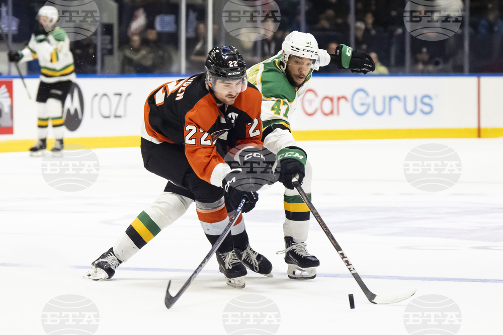 Memorial Cup Hockey