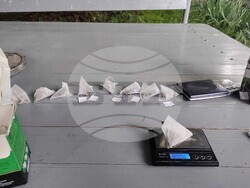 Снимка: Българска фондация Биоразнообразие