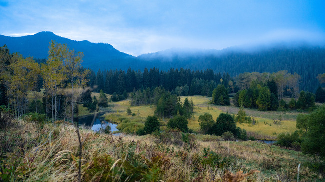 Scientists Use Teabags to Measure Carbon Sequestration in Chairski Lakes Peatlands