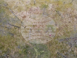 Снимка: Българска фондация Биоразнообразие