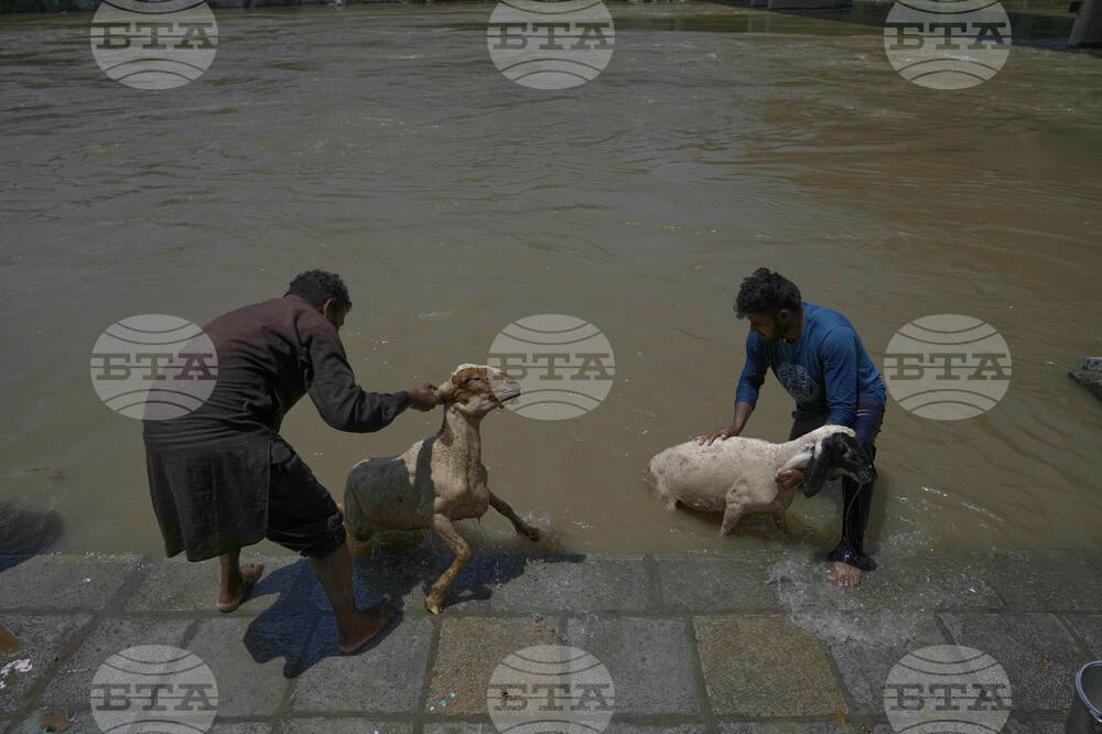 India Kashmir Eid-al-Adha