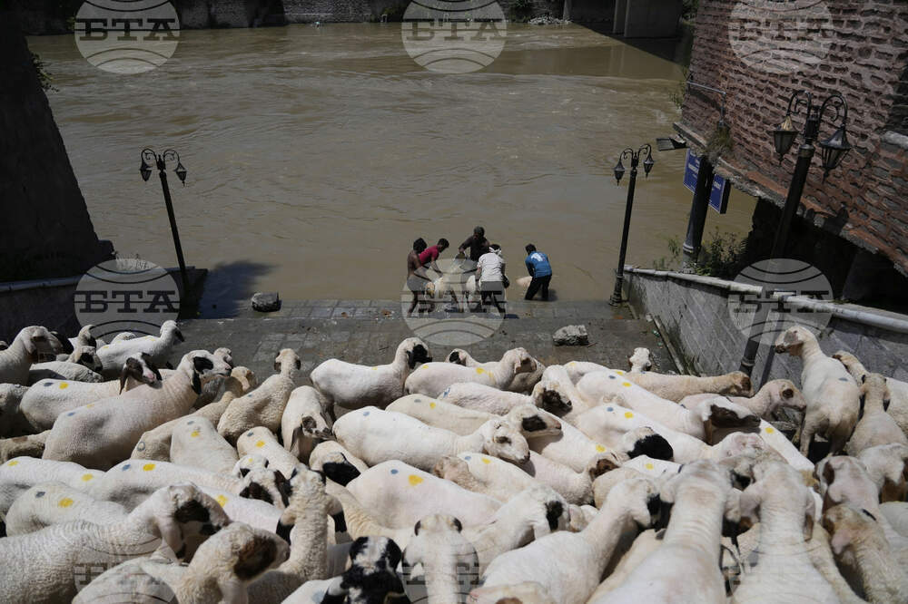 India Kashmir Eid-al-Adha