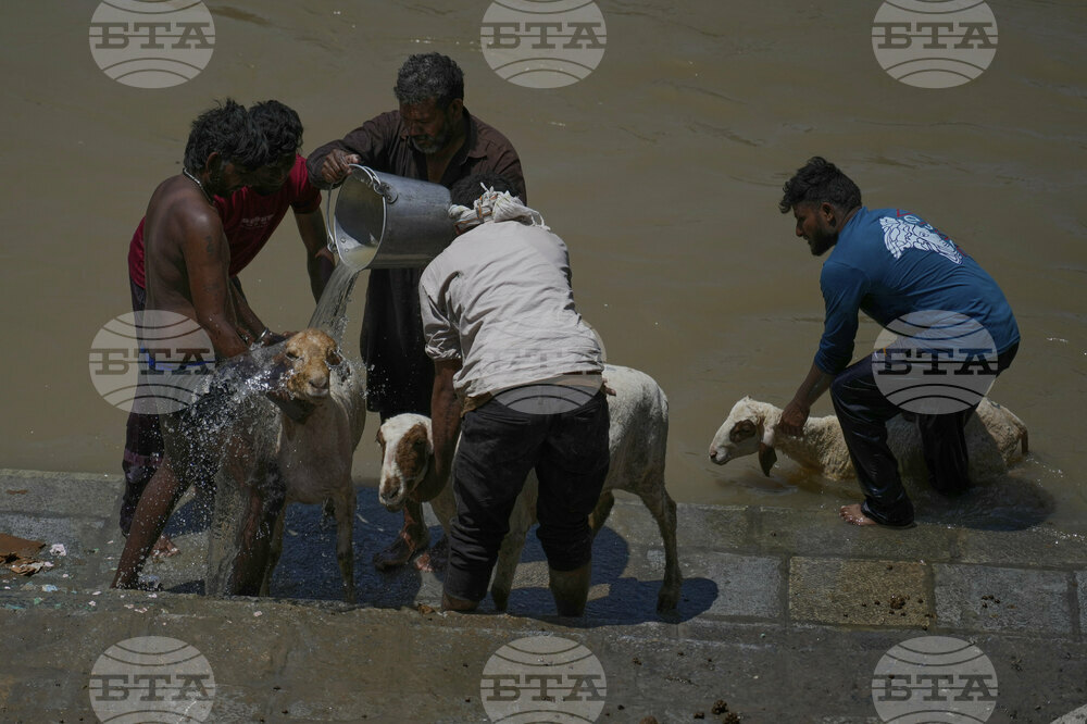 India Kashmir Eid-al-Adha