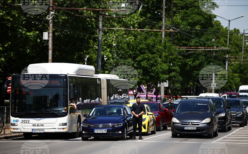 People and Vehicles Stand Still for 2 Minutes to Pay Respect to Freedom Fighters