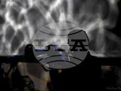 Снимка: Община Стара Загора