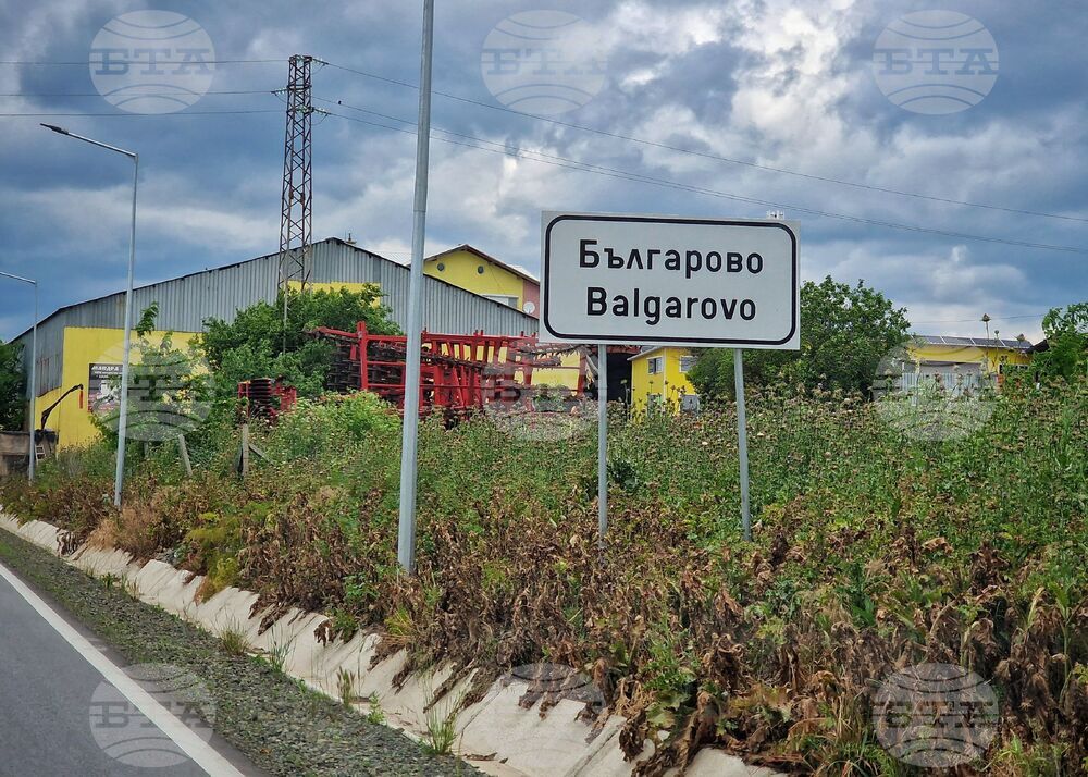 Две организации ще протестират в Българово заради смъртта на куче, влачено с автомобил