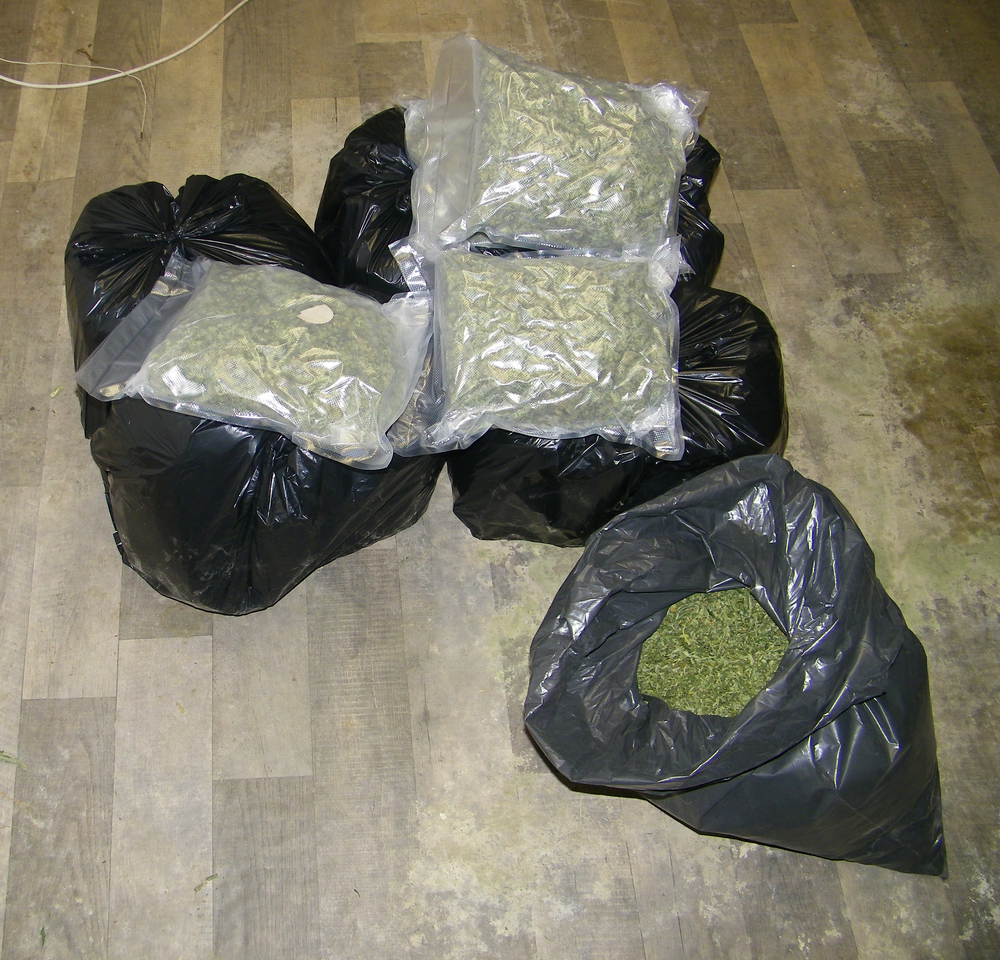 Гранични полицаи от РДГП – Драгоман задържаха 46-годишен мъж с 15 кг канабис