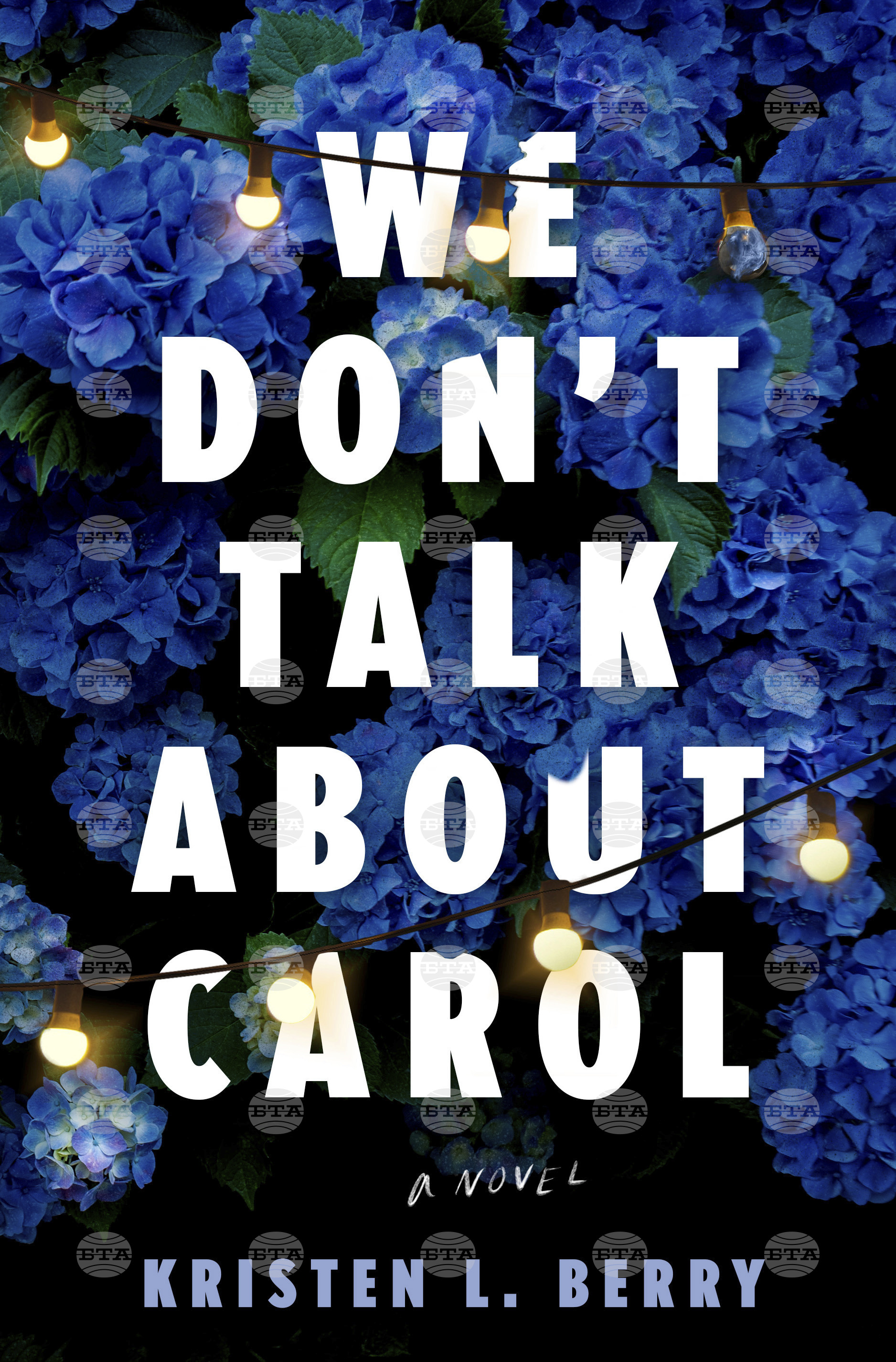 Book Review - We Don't Talk About Carol