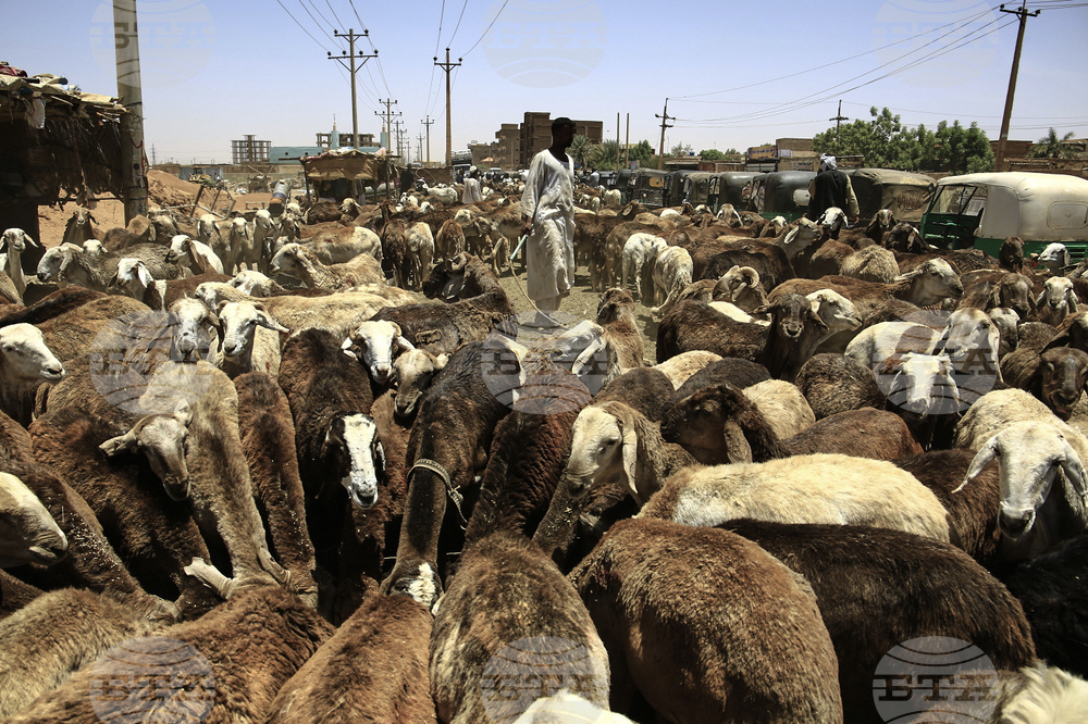 Sudan Eid al-Adha