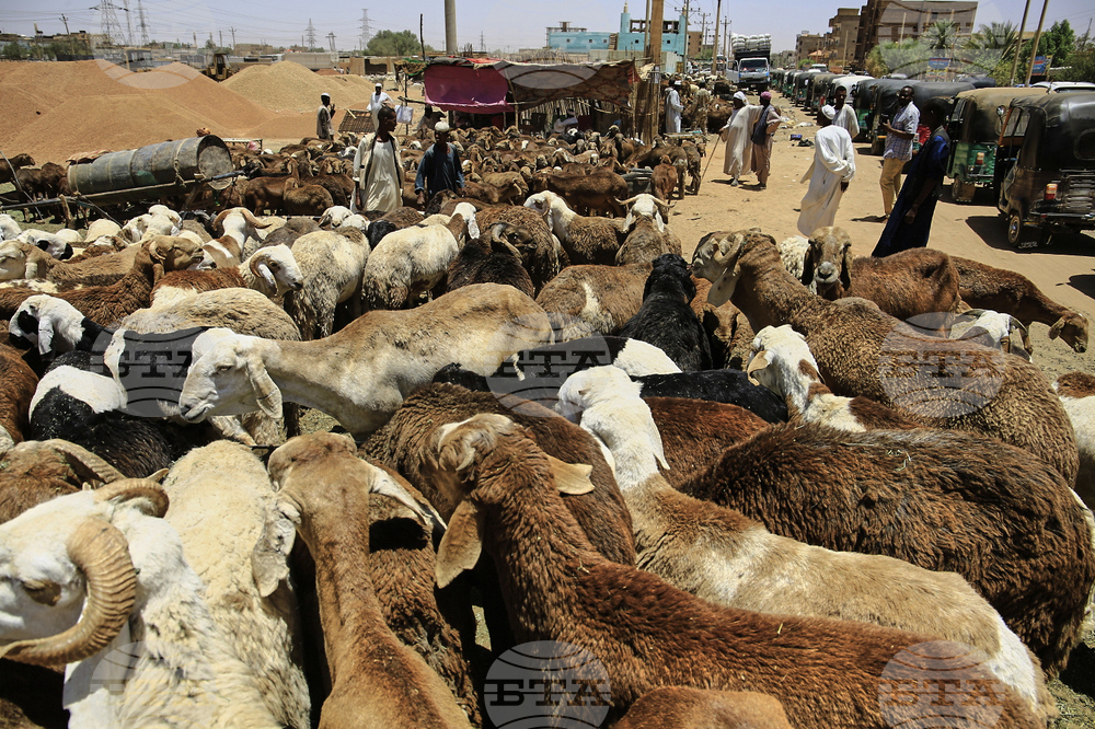 Sudan Eid al-Adha
