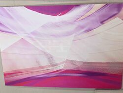 Плевен - Лео Зограф - фотоизложба