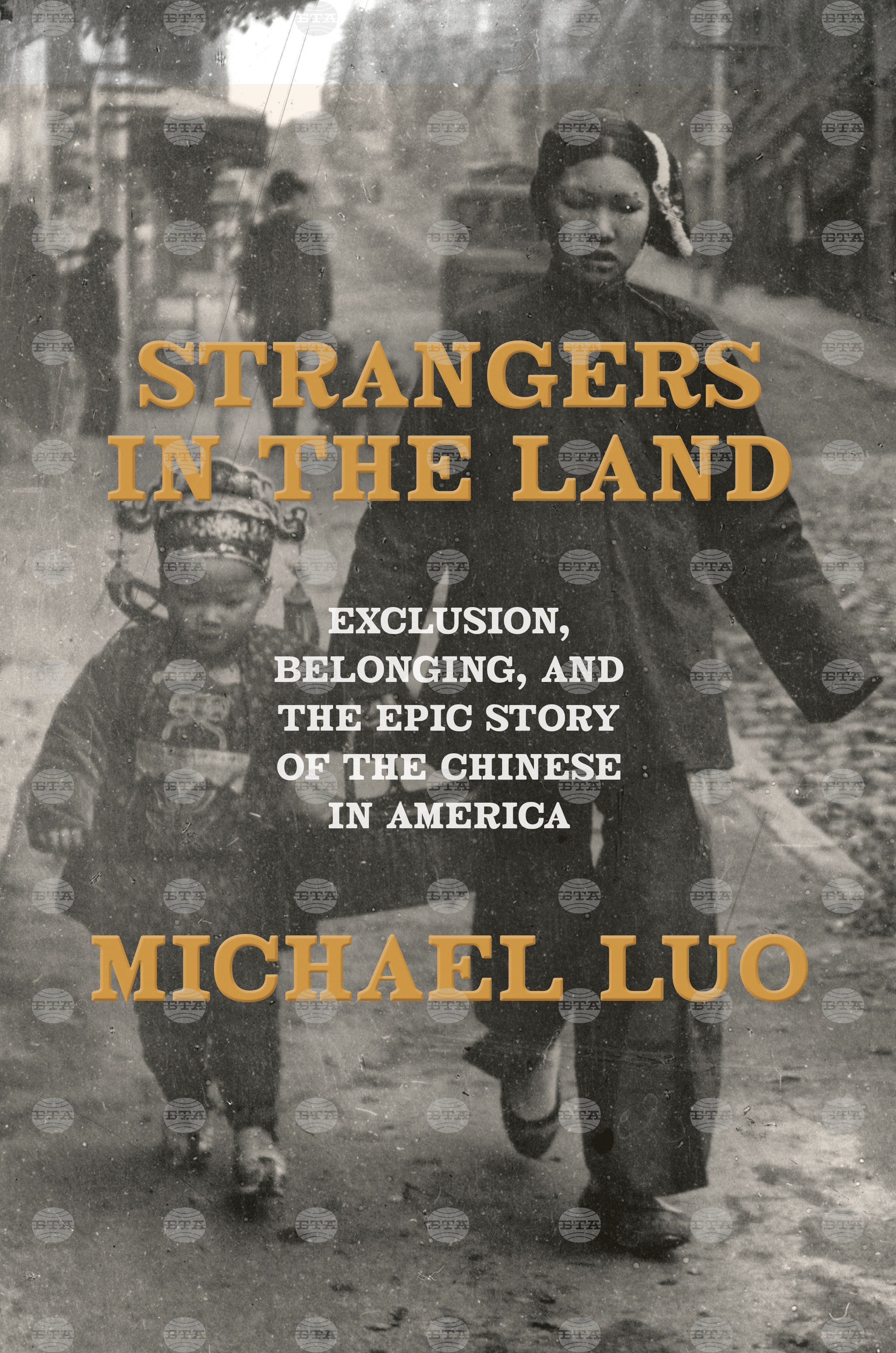 Book Review - Strangers in the Land