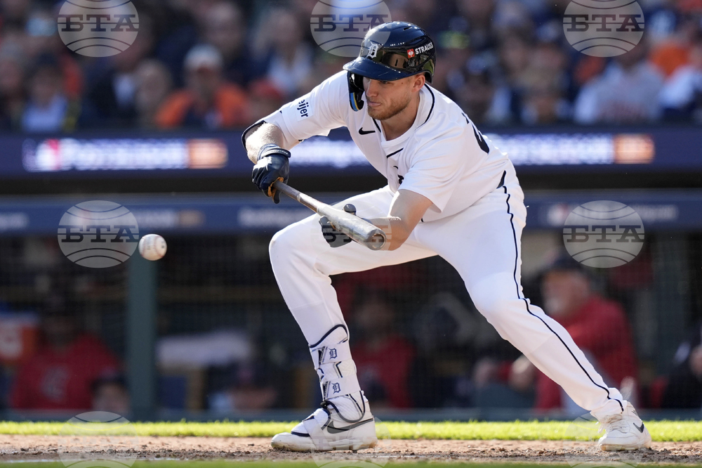Tigers-Meadows Baseball