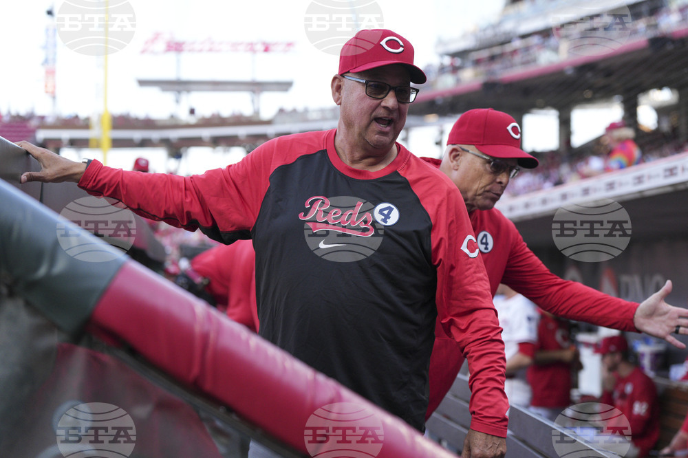 Brewers Reds Baseball