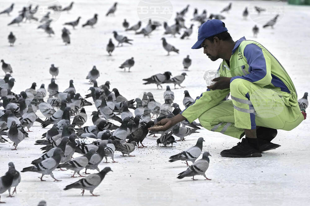 Saudi Arabia Hajj