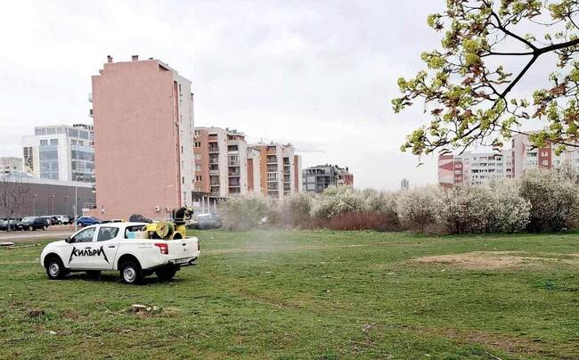 Столичната община започва обработки срещу комари и бълхи, които ще обхванат тревни площи, междублокови пространства, паркове и градини