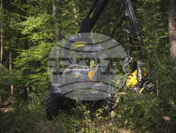 Снимка: Сдружение “Браншова камара на дървообработващата и мебелната промишленост“ 