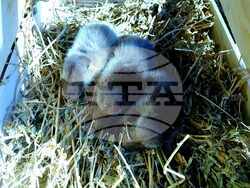 Снимка: Община Стара Загора