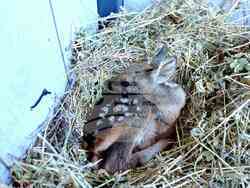 Снимка: Община Стара Загора