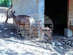 Снимка: Община Стара Загора