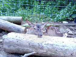 Снимка: Община Стара Загора