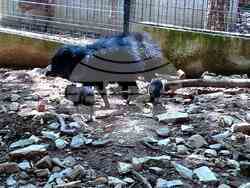 Снимка: Община Стара Загора