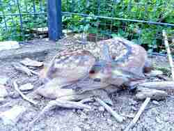 Снимка: Община Стара Загора