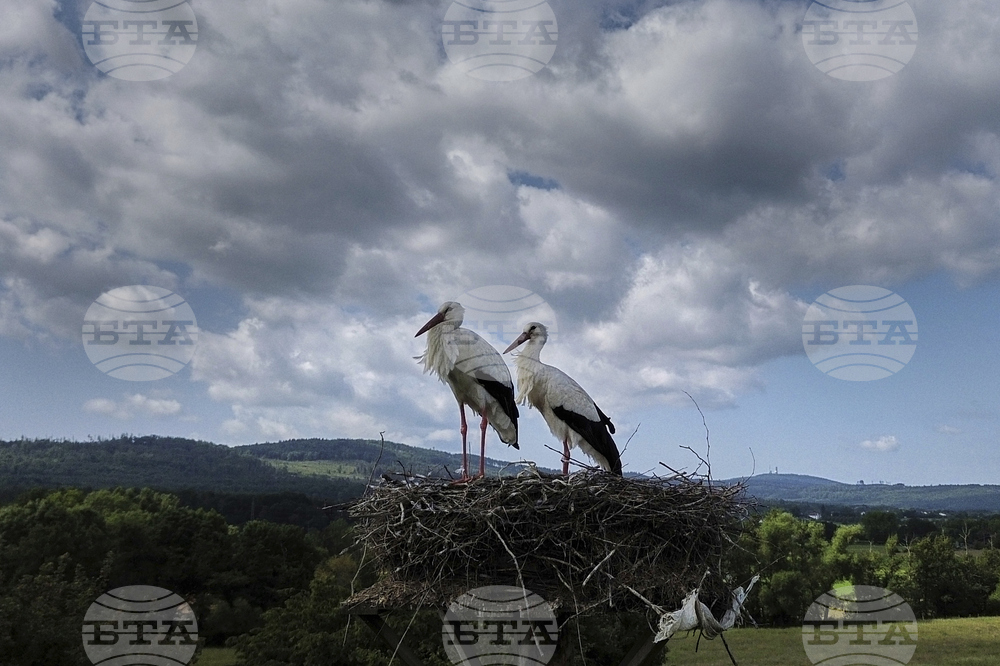 Germany Daily Life