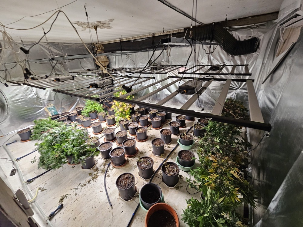 Окръжна прокуратура – Благоевград привлече в качеството на обвиняеми две лица, сговорили се да вършат в страната престъпления с цел имотна облага и занимаващи се с държане и разпространение на наркотици и отглеждане на коноп в гр. Гоце Делчев