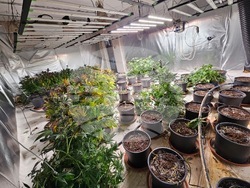 Снимка: Апелативна прокуратура – София