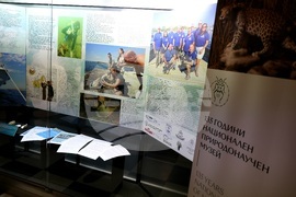 „Подводната вкаменена гора“ - изложба