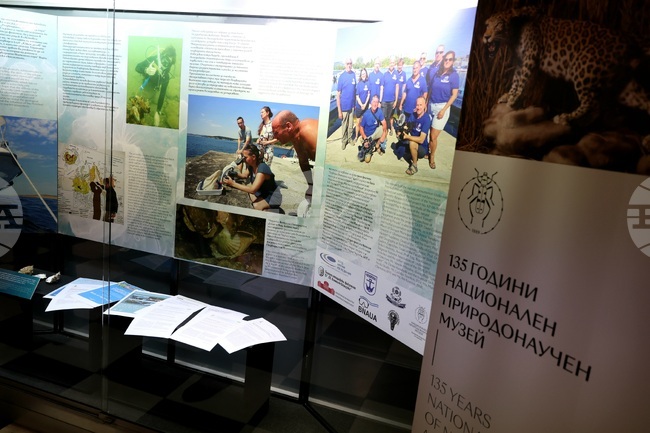 „Подводната вкаменена гора“ - изложба 