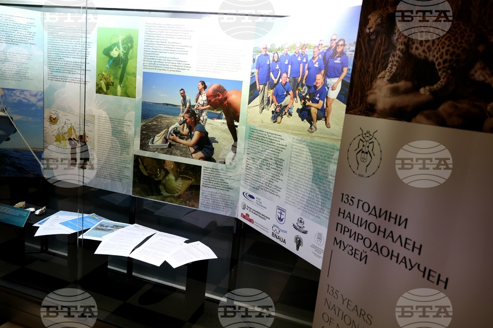 „Подводната вкаменена гора“ - изложба