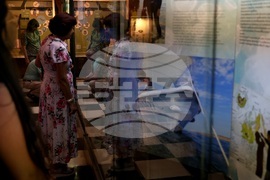 „Подводната вкаменена гора“ - изложба