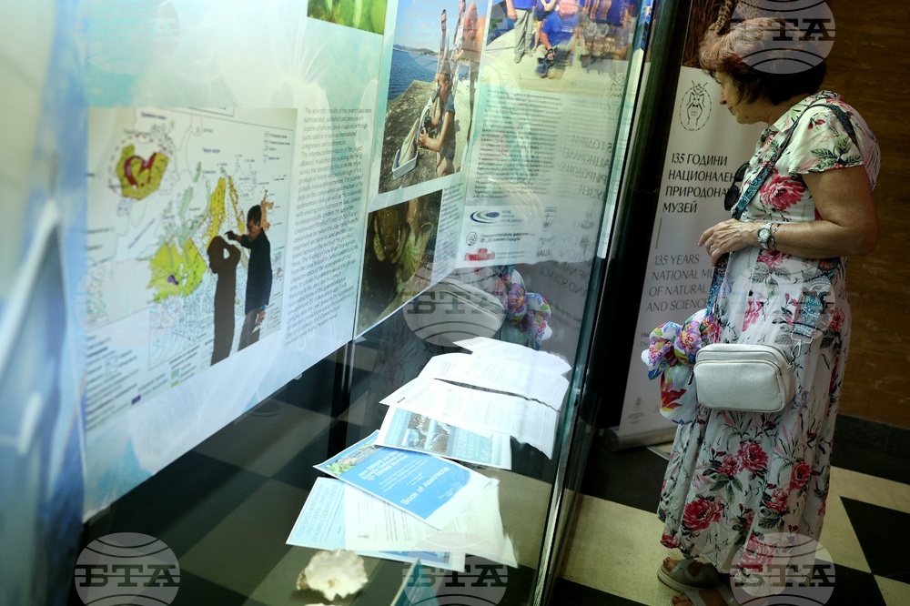 „Подводната вкаменена гора“ - изложба