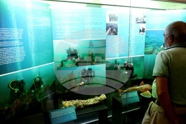 „Подводната вкаменена гора“ - изложба