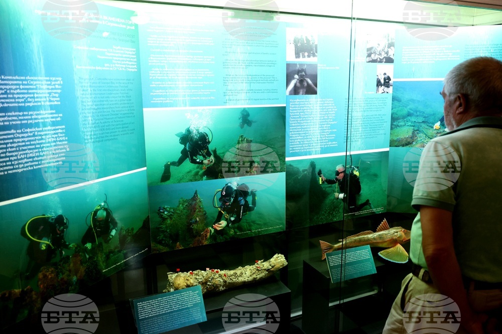 „Подводната вкаменена гора“ - изложба