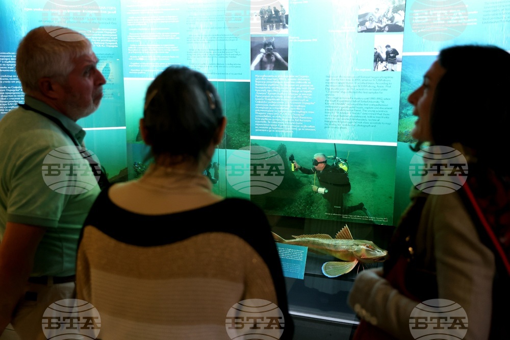 „Подводната вкаменена гора“ - изложба