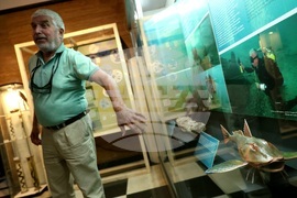 „Подводната вкаменена гора“ - изложба